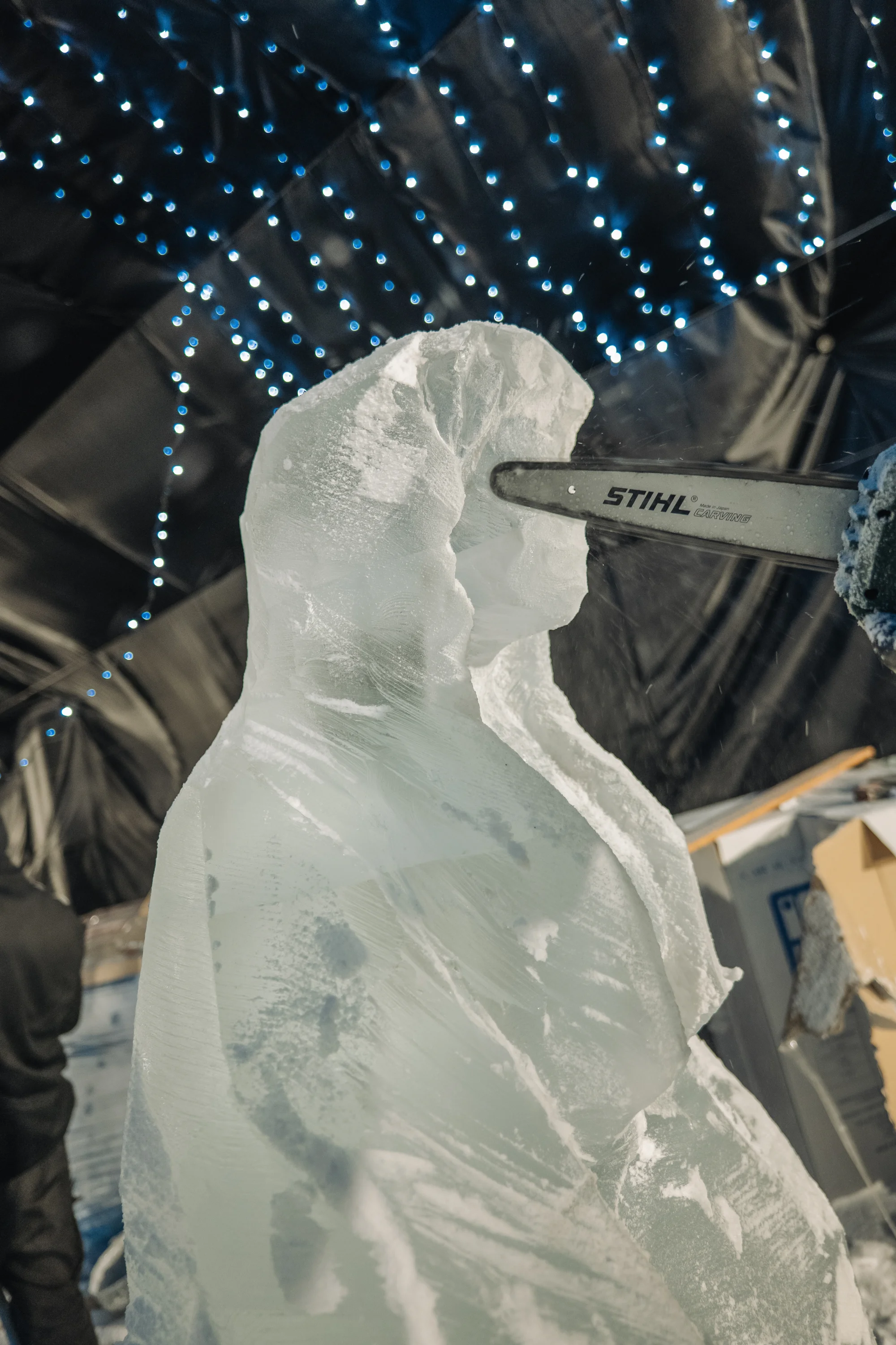 Ledové sochy na Čerňáku: Ice Magic, největší ledová výstava v Česku