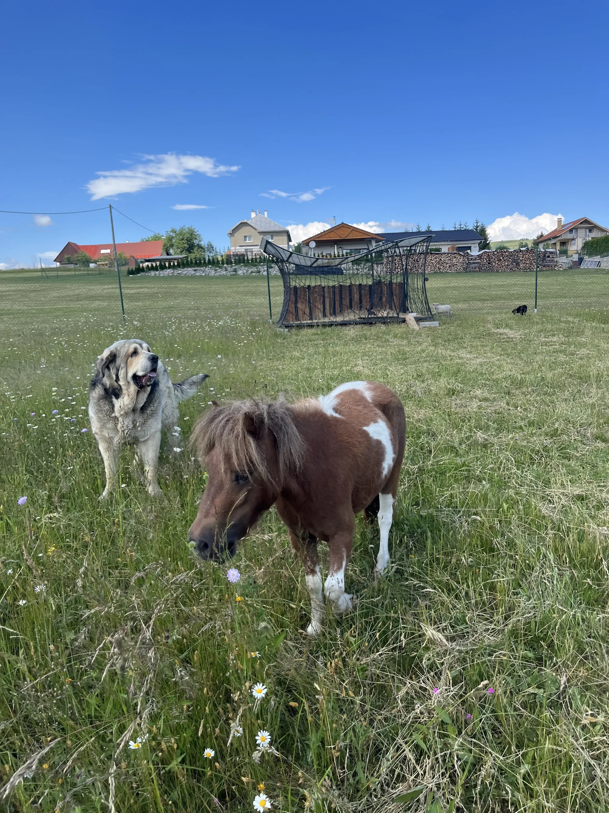 Zážitková dovolená na Horehroní: pobyt se stravou, nedaleko Muzea sportovních aut