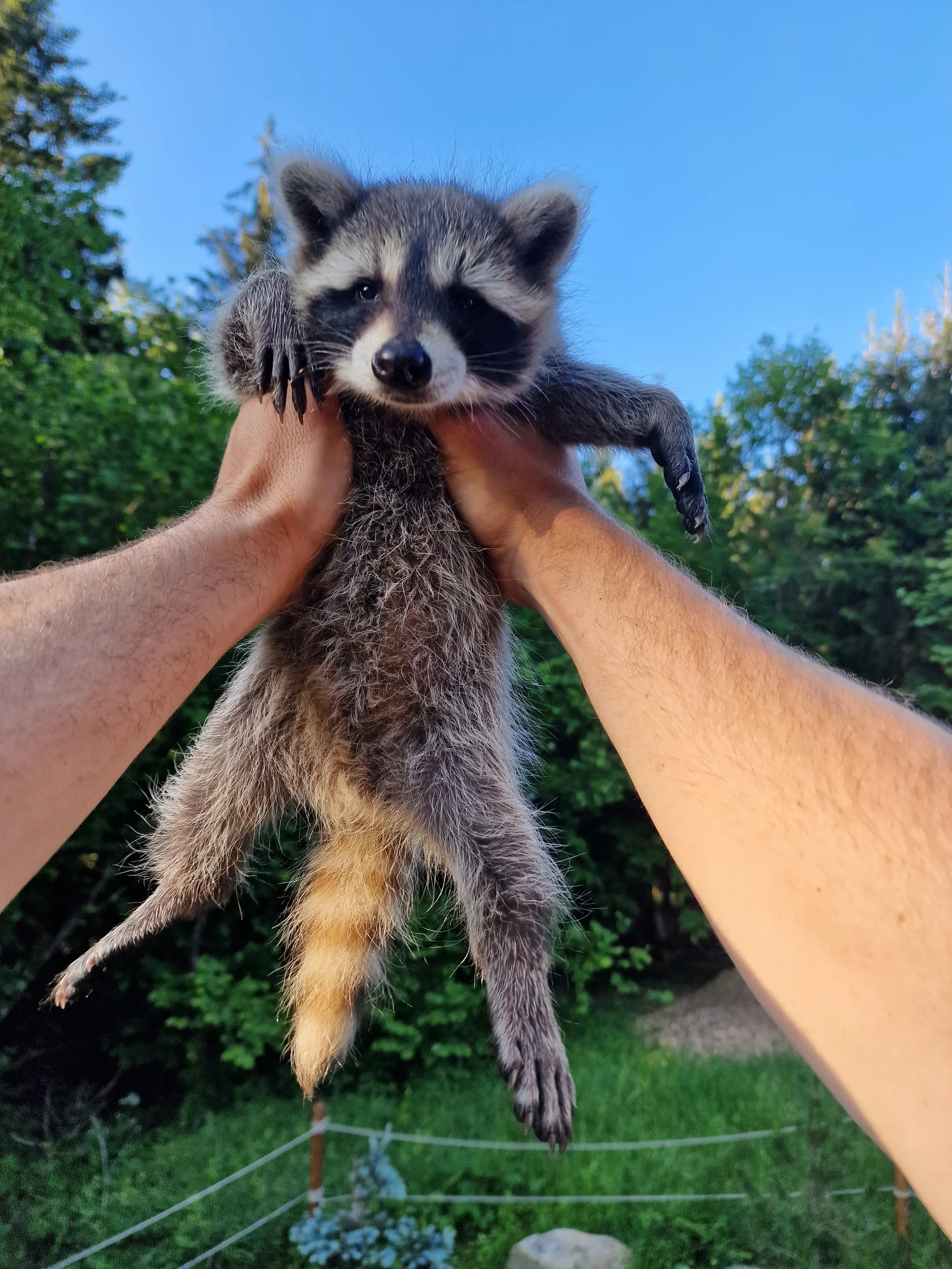 Zážitková dovolená na Horehroní: pobyt se stravou, nedaleko Muzea sportovních aut