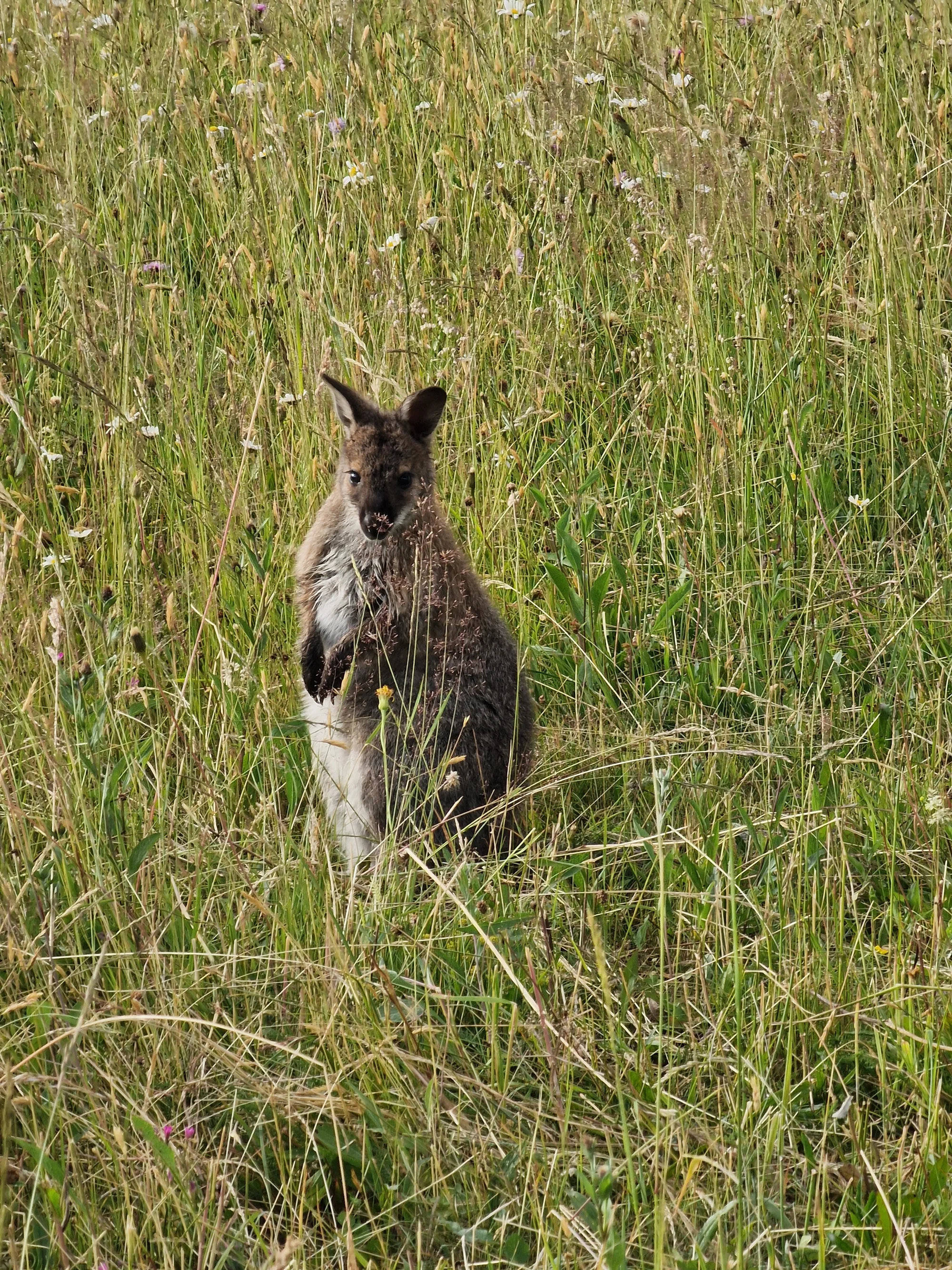 Zážitková dovolená na Horehroní: pobyt se stravou, nedaleko Muzea sportovních aut