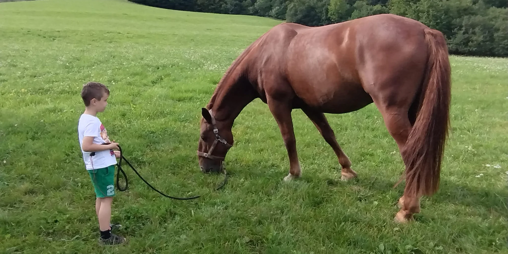 Zážitková procházka s koněm přírodou chráněné oblasti: varianty pro děti i dospělé