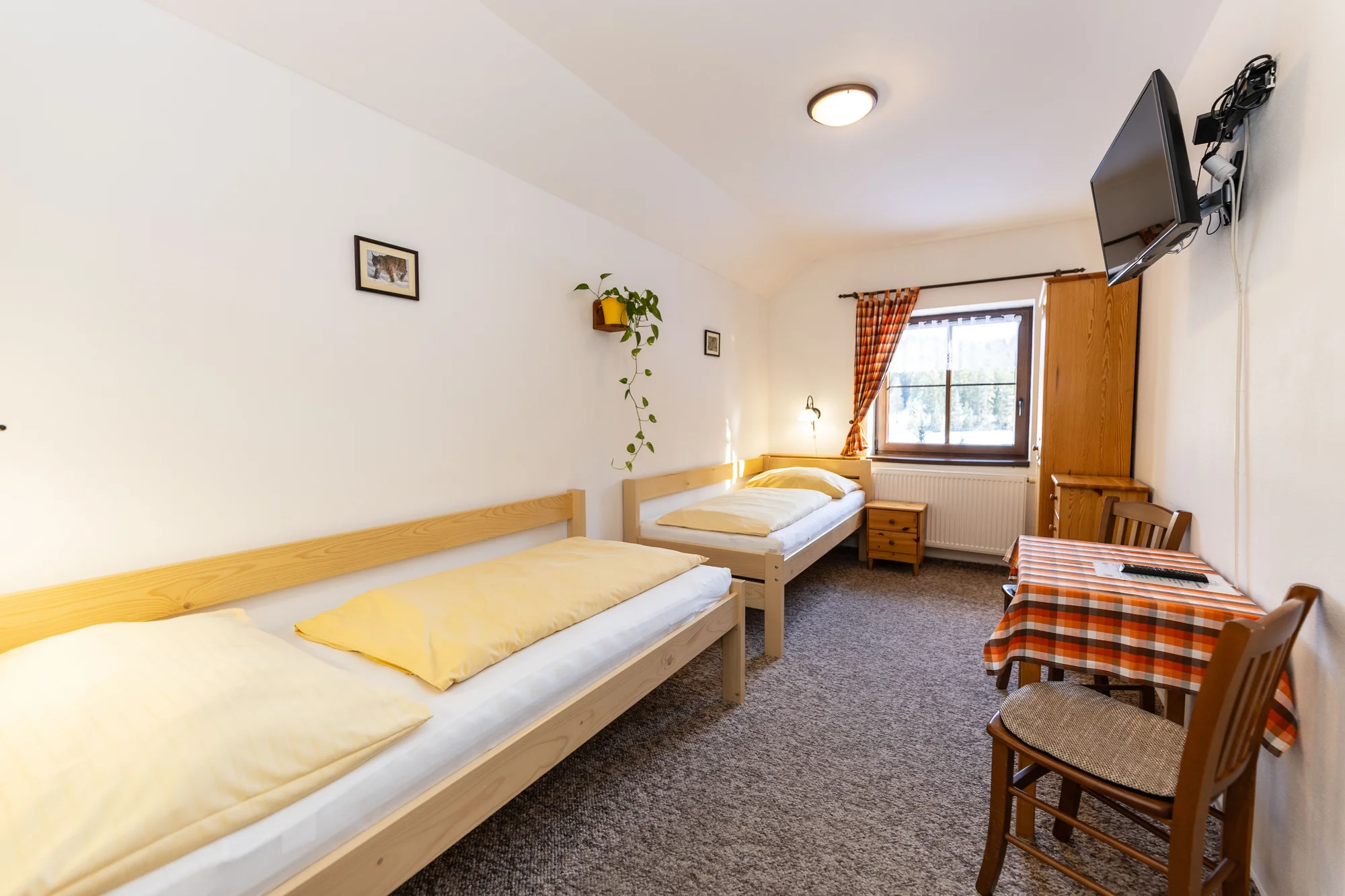 Pobyt v příjemné chatě v srdci Šumavy: polopenze i káva a zákusek