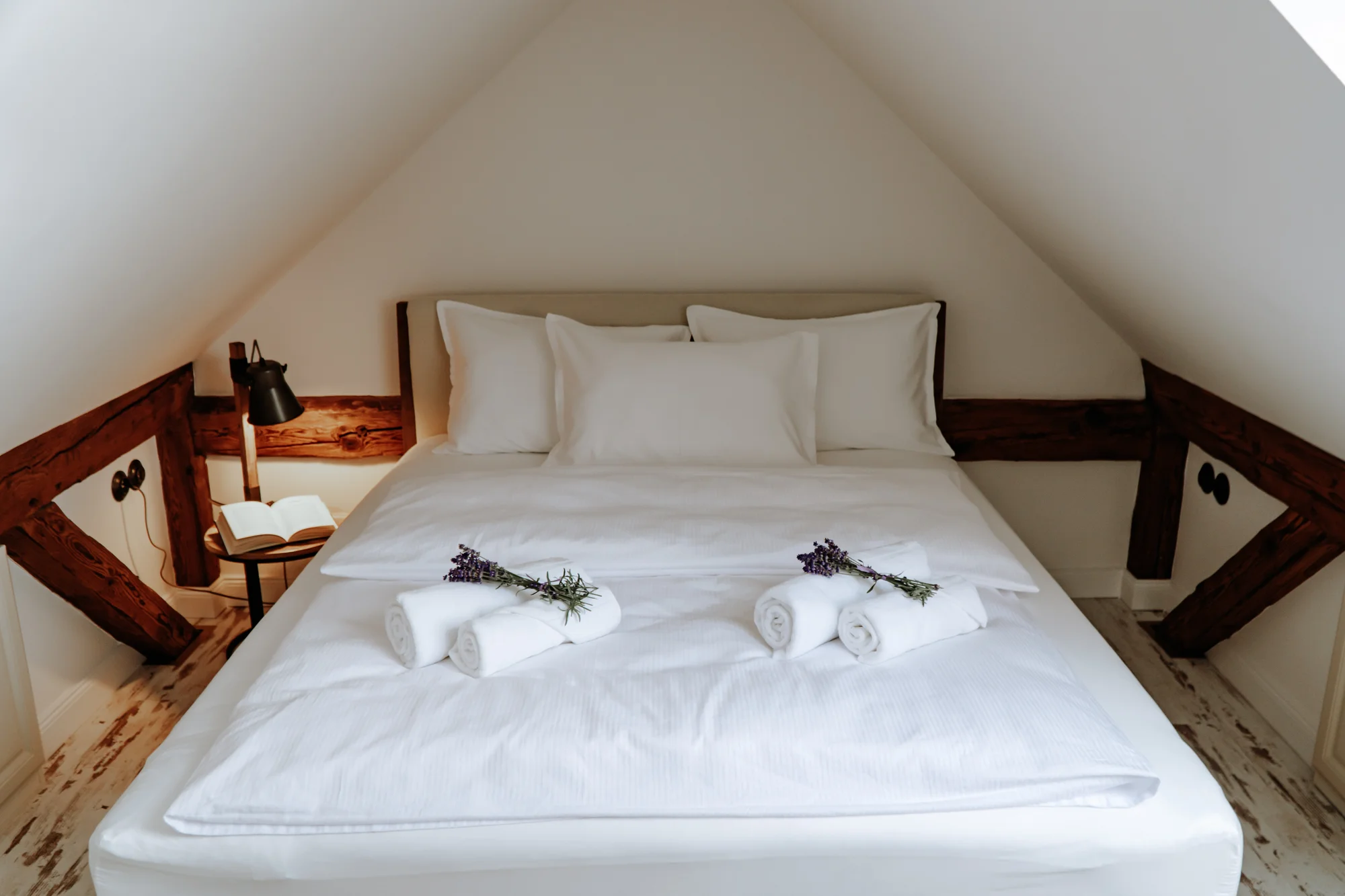 Pobyt v domě Hany Hegerové s degustací jejích oblíbených pokrmů, vstupem do Thermal Nesvady či zážitkovým vařením