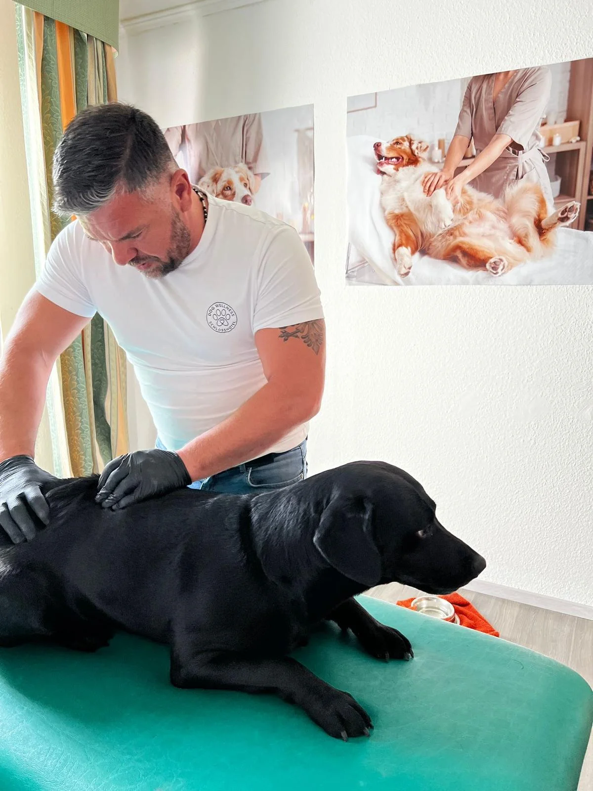 75 minut v psích lázních: rekondiční masáž a koupel pro vašeho chlupáče