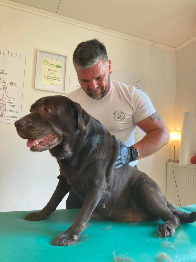 75 minut v psích lázních: rekondiční masáž a koupel pro vašeho chlupáče