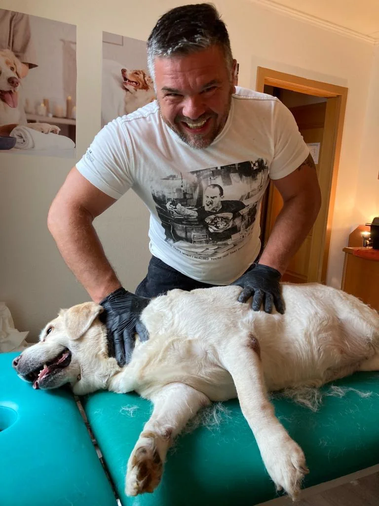 75 minut v psích lázních: rekondiční masáž a koupel pro vašeho chlupáče