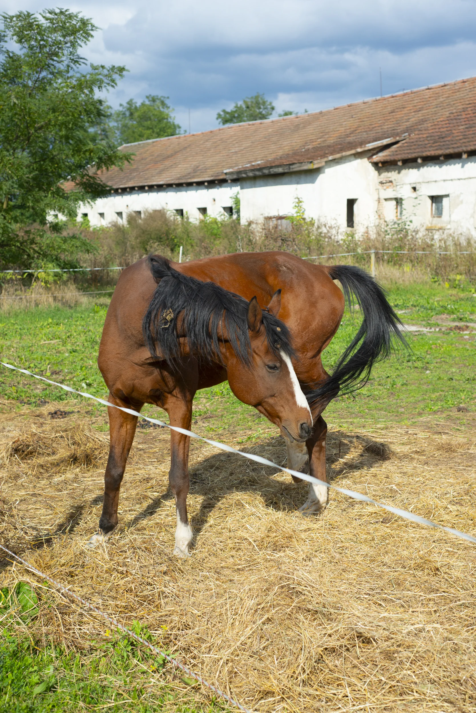 Pobyt na Zemplíně: vč. bohaté snídaně a neomezeného pronájmu kol