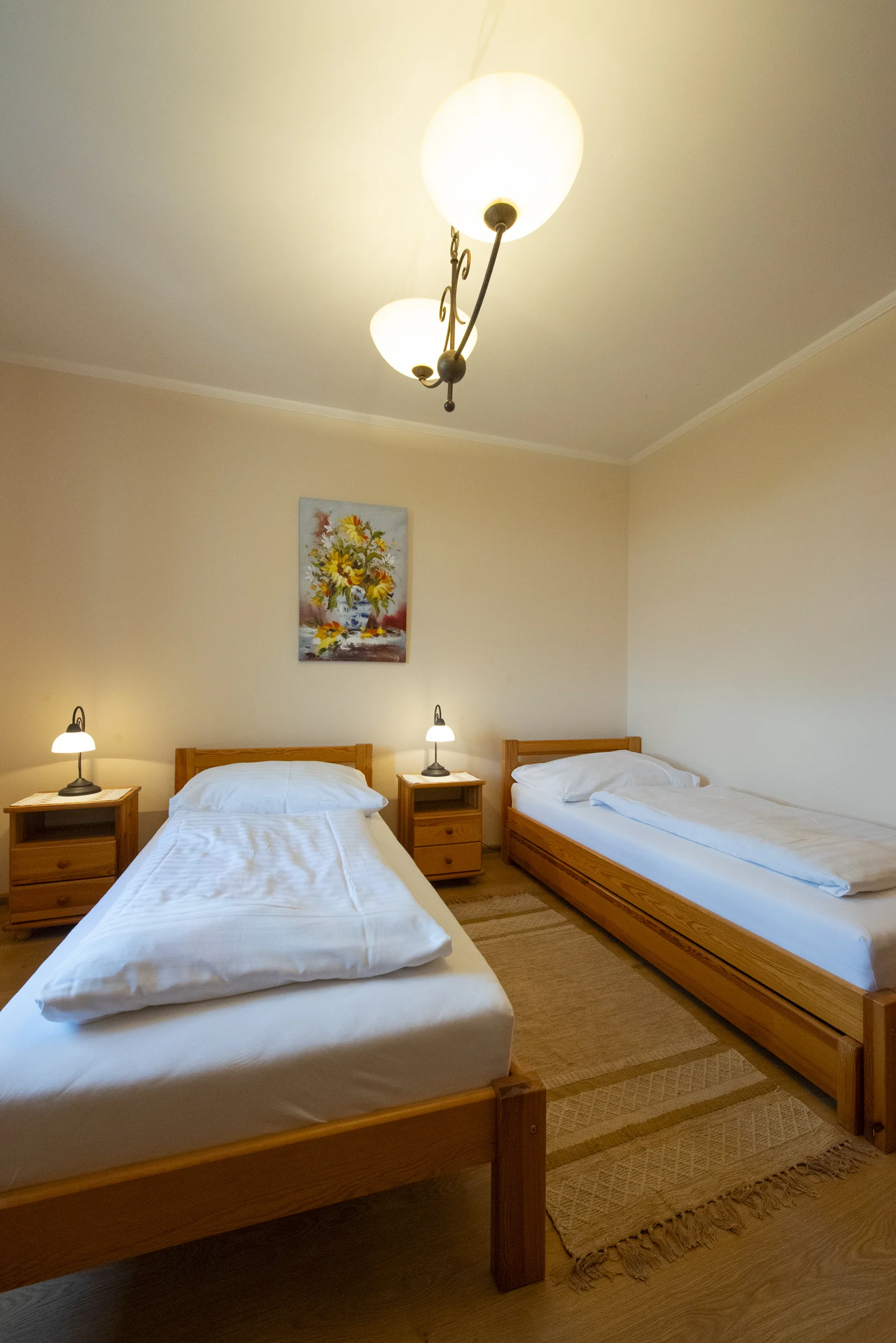 Pobyt na Zemplíně: vč. bohaté snídaně a neomezeného pronájmu kol