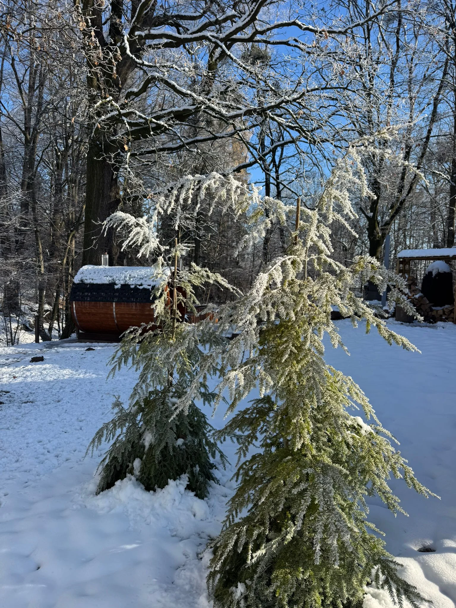 Relax v podhůří Beskyd: pobyt v moderní jurtě s privátní saunou a snídaní až pro 4 osoby