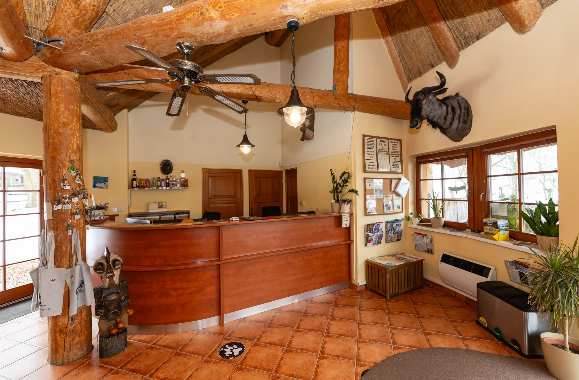 Afrika ve Dvoře Králové: bungalov v kempu, snídaně, neomezený vstup do safari i vířivka