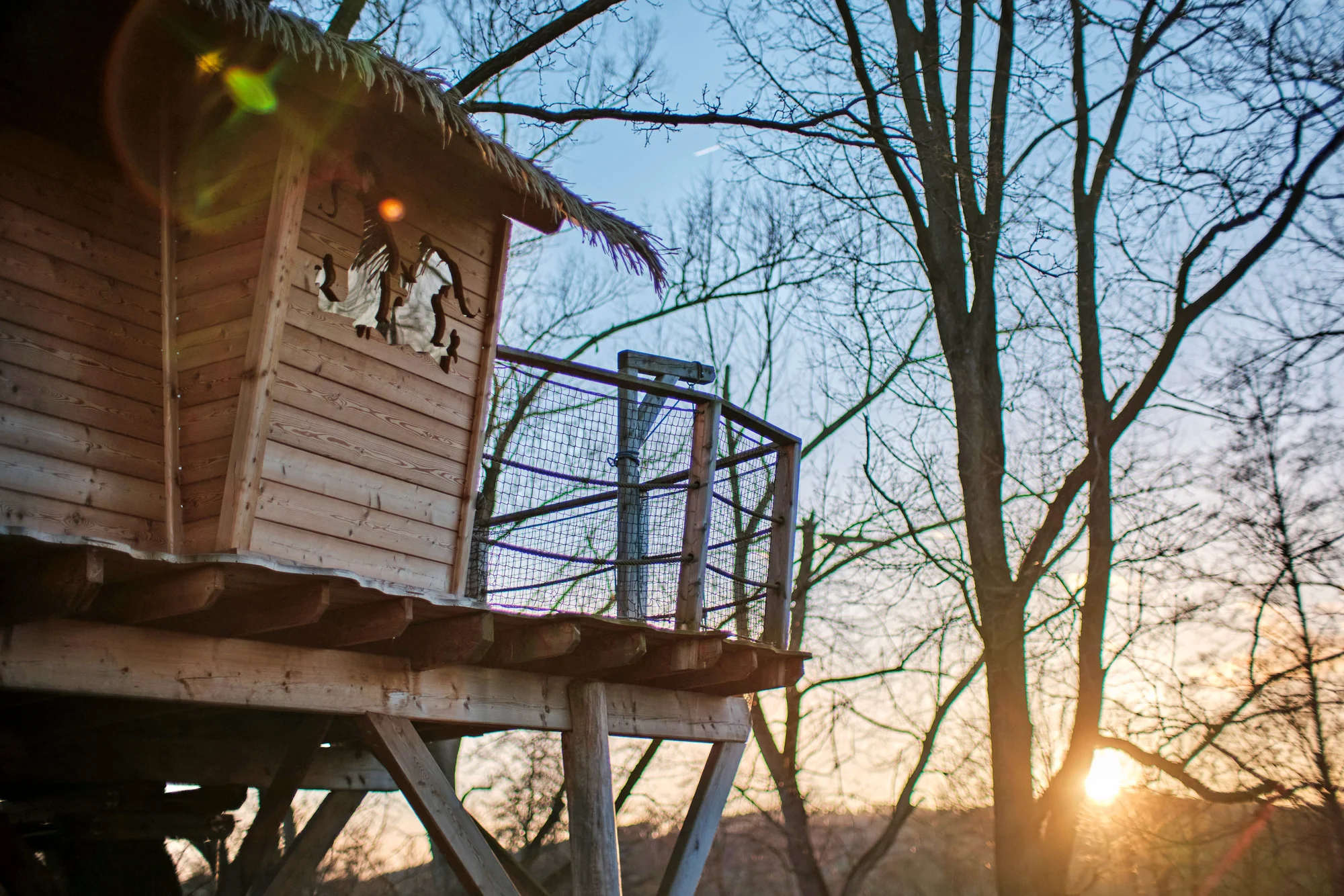 Pobyt v domku na stromě: úžasná romantika pro dva i nevšední zážitek pro děti