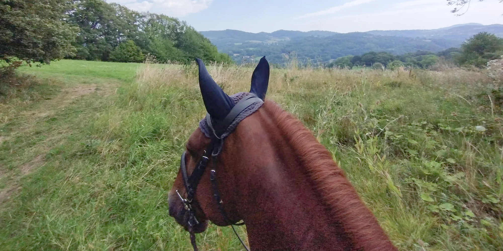 Osobní rozvoj s péčí o koně: antistresová procházka i leadership