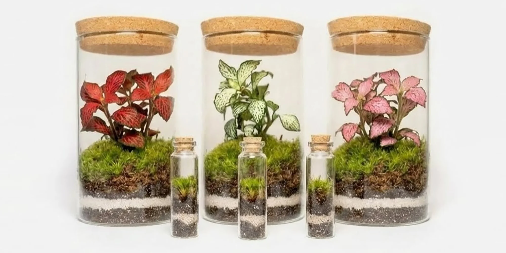 Relaxační workshop: vytvořte si vlastní Mechárium aneb kousek přírody u vás doma