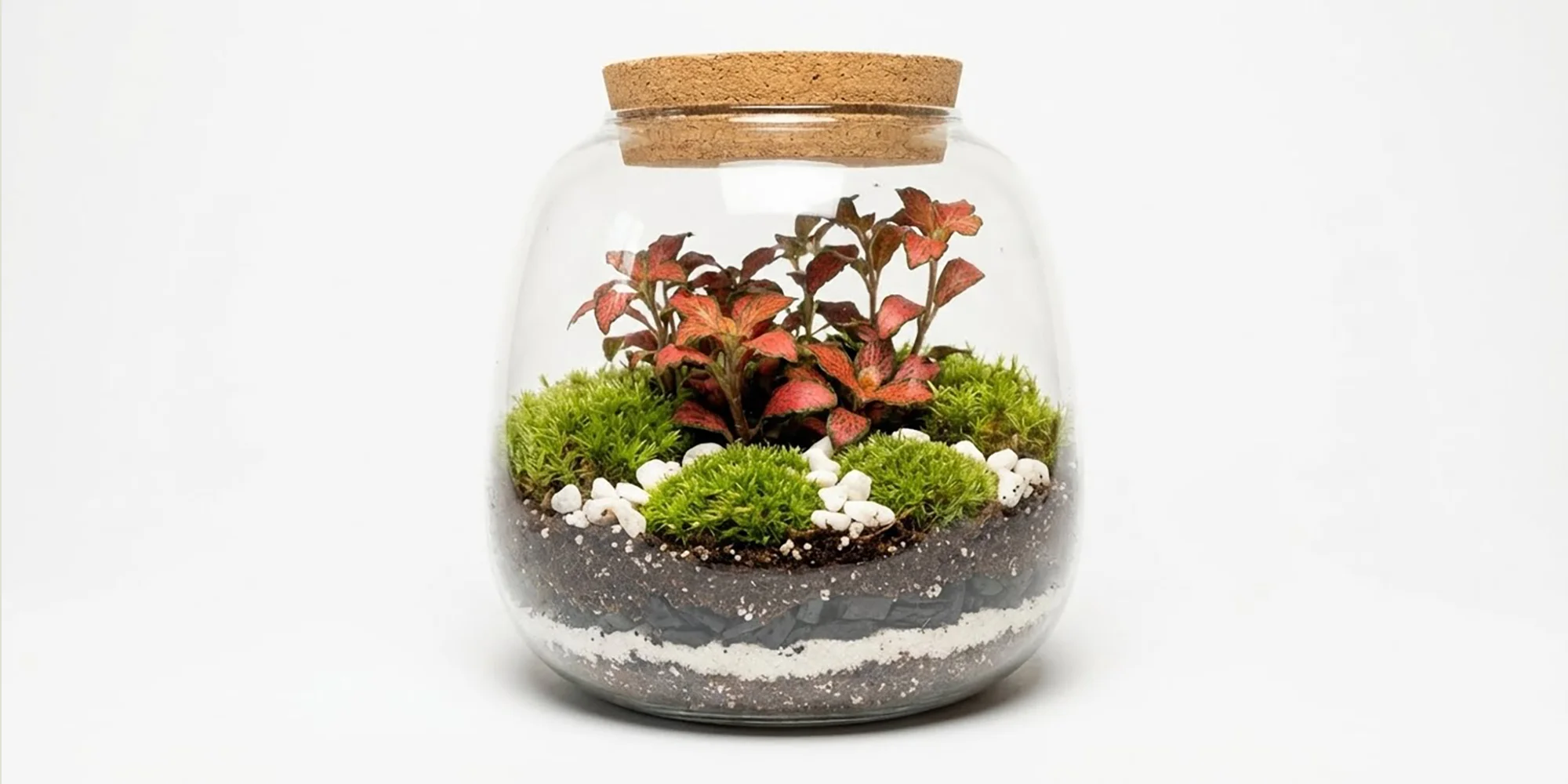 Relaxační workshop: vytvořte si vlastní Mechárium aneb kousek přírody u vás doma