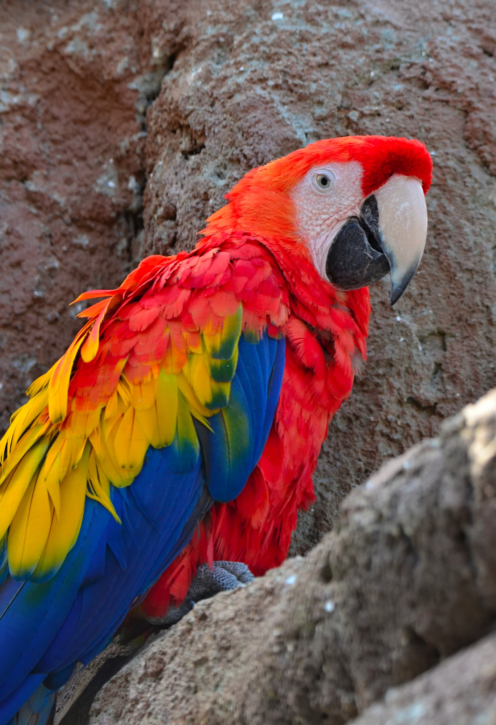 Vstup do Zoo Plasy i na fantasy minigolf, pro dítě či dospělého