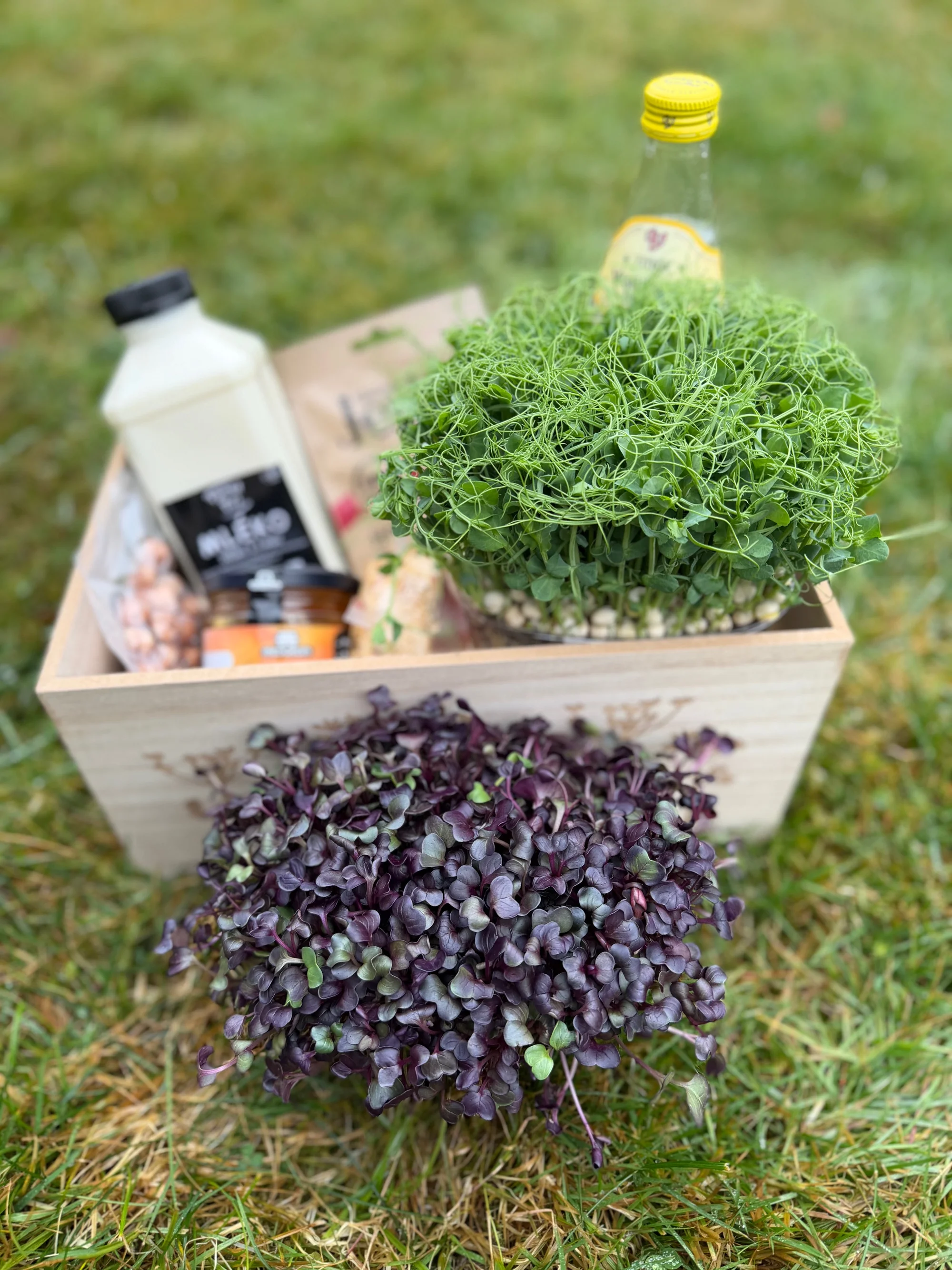 Netradiční pobyt s výhledem na Ještěd: maringotka až pro 3 osoby, cyklostezky i lyžování