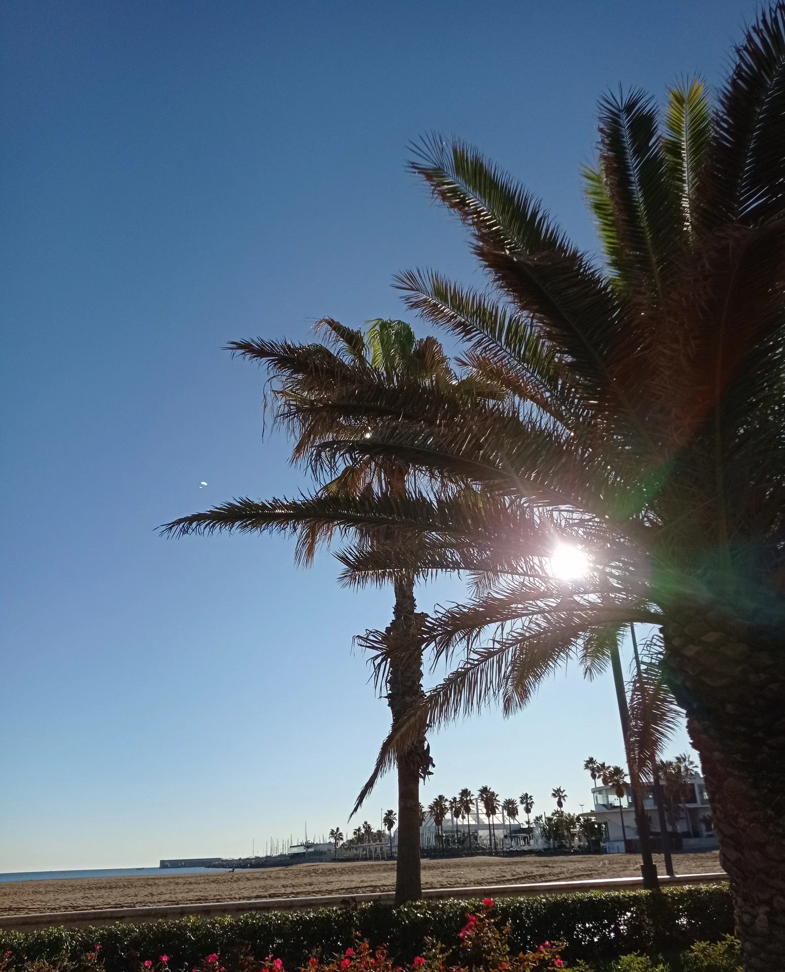 Zájezd do Valencie s Worldee: ubytování, zpáteční letenka a detailní itinerář