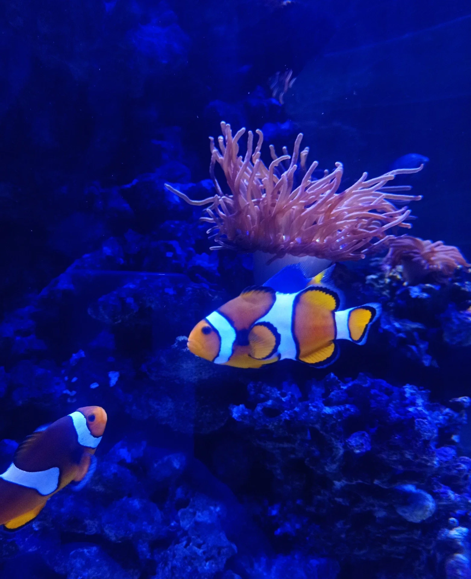 Zájezd do Valencie s Worldee: ubytování, zpáteční letenka a detailní itinerář