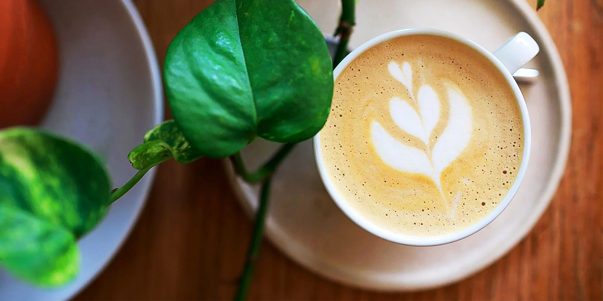 Baristické kurzy pro 1 nebo 2 osoby: naučte se latté art