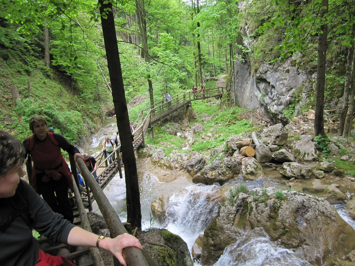 Přírodní krásy: Poznávací výlet do kaňonu Medvědí soutěska v Rakousku