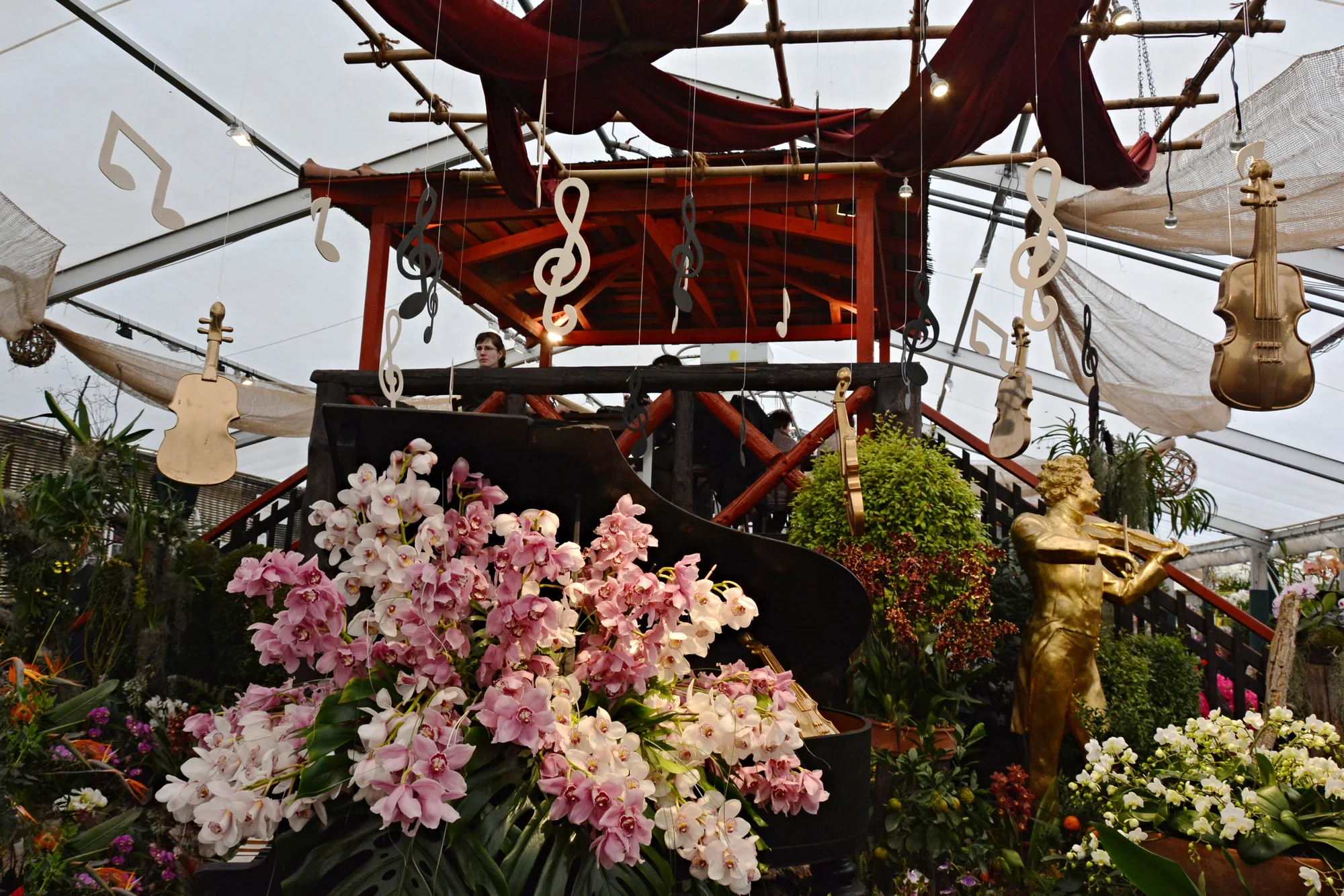 Největší výstava orchidejí v Rakousku a návštěva Vídně z Brna a Mikulova