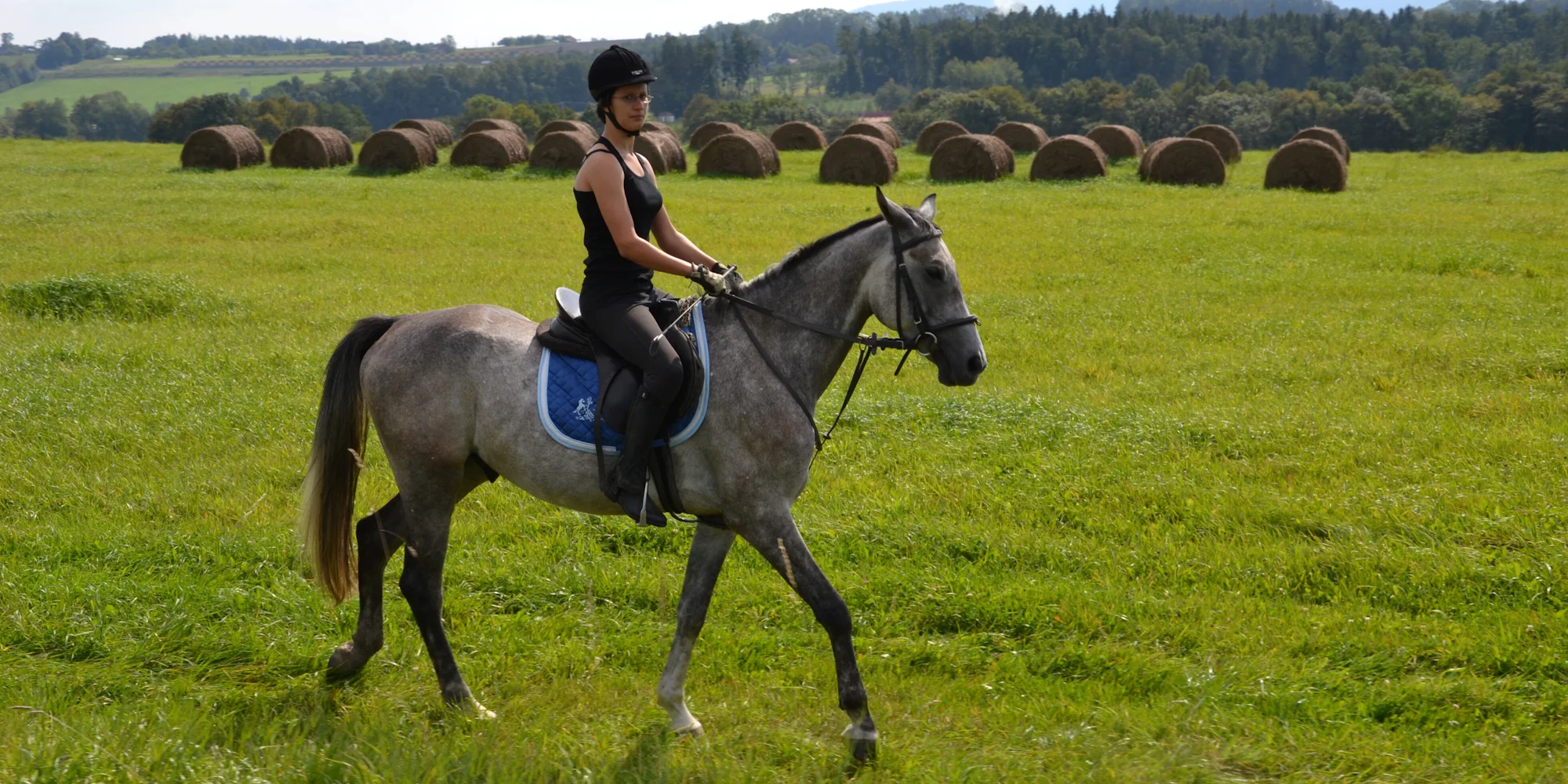 Hodinová jízda na koni pro začátečníky: 1 i 2 osoby