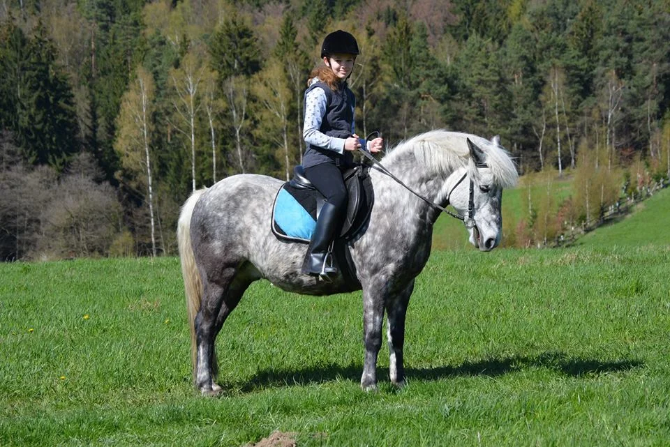 3 hodiny na ranči: péče o koně a poníky a vyjížďka na poníkovi do přírody