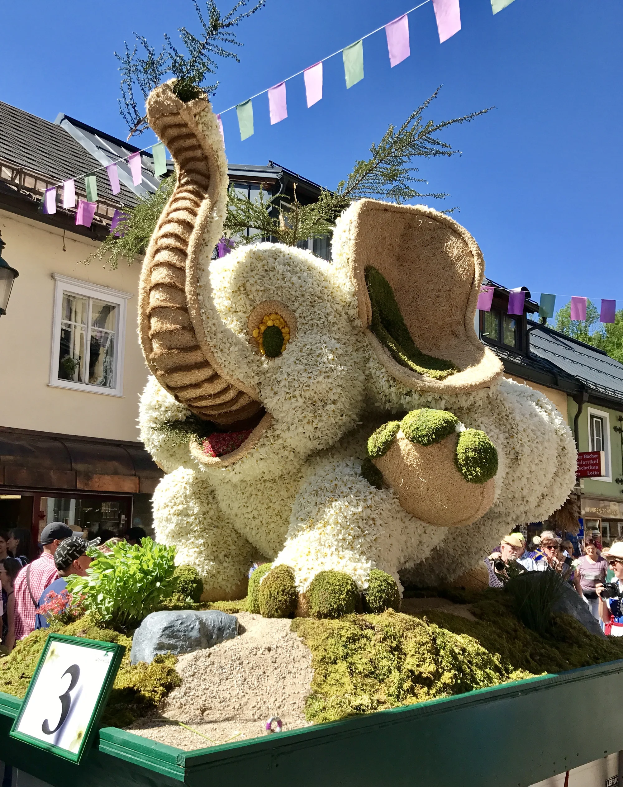 Největší květinový svátek v Rakousku: Festival narcisů a zastávka v Hallstattu