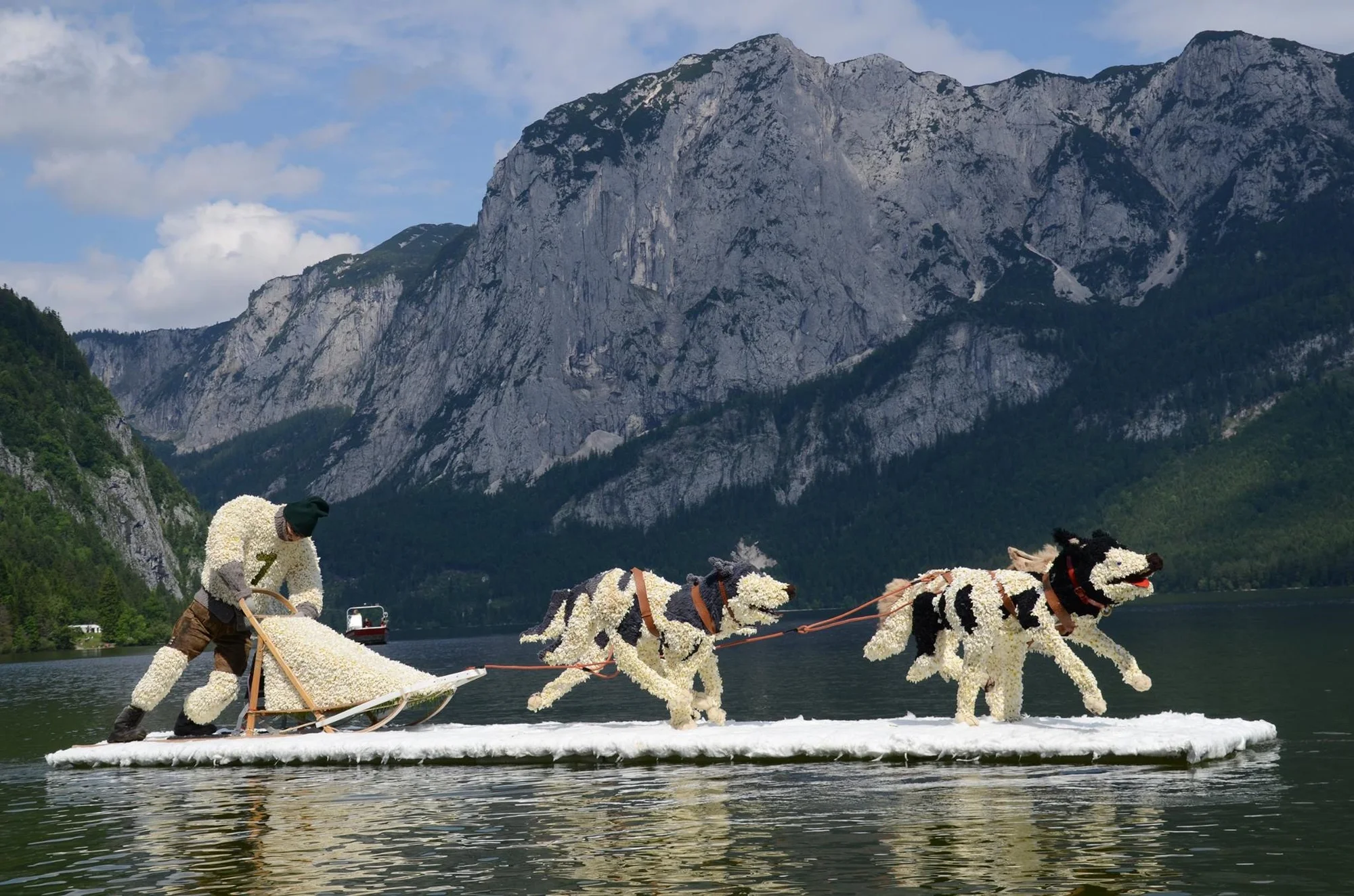Největší květinový svátek v Rakousku: Festival narcisů a zastávka v Hallstattu