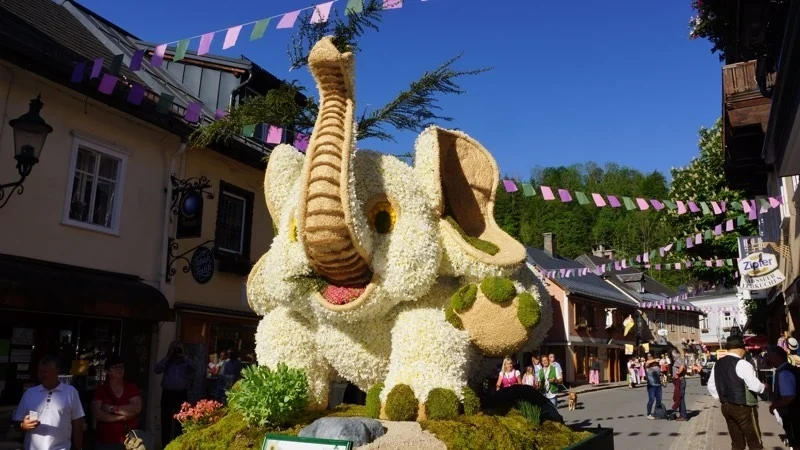 Největší květinový svátek v Rakousku: Festival narcisů a zastávka v Hallstattu