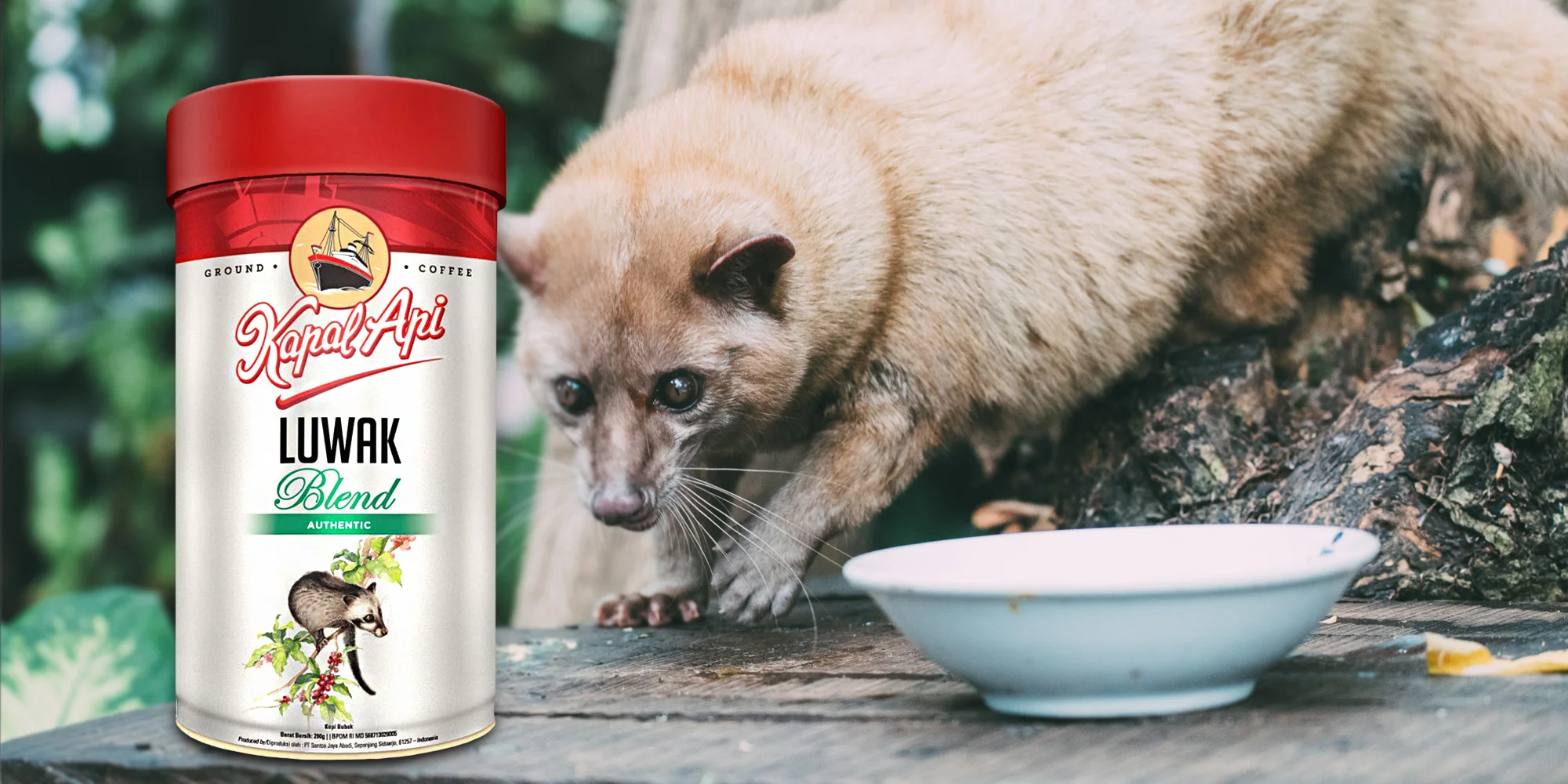 Cibetková káva Kopi Luwak z Indonésie: 200 g, až 12 ks