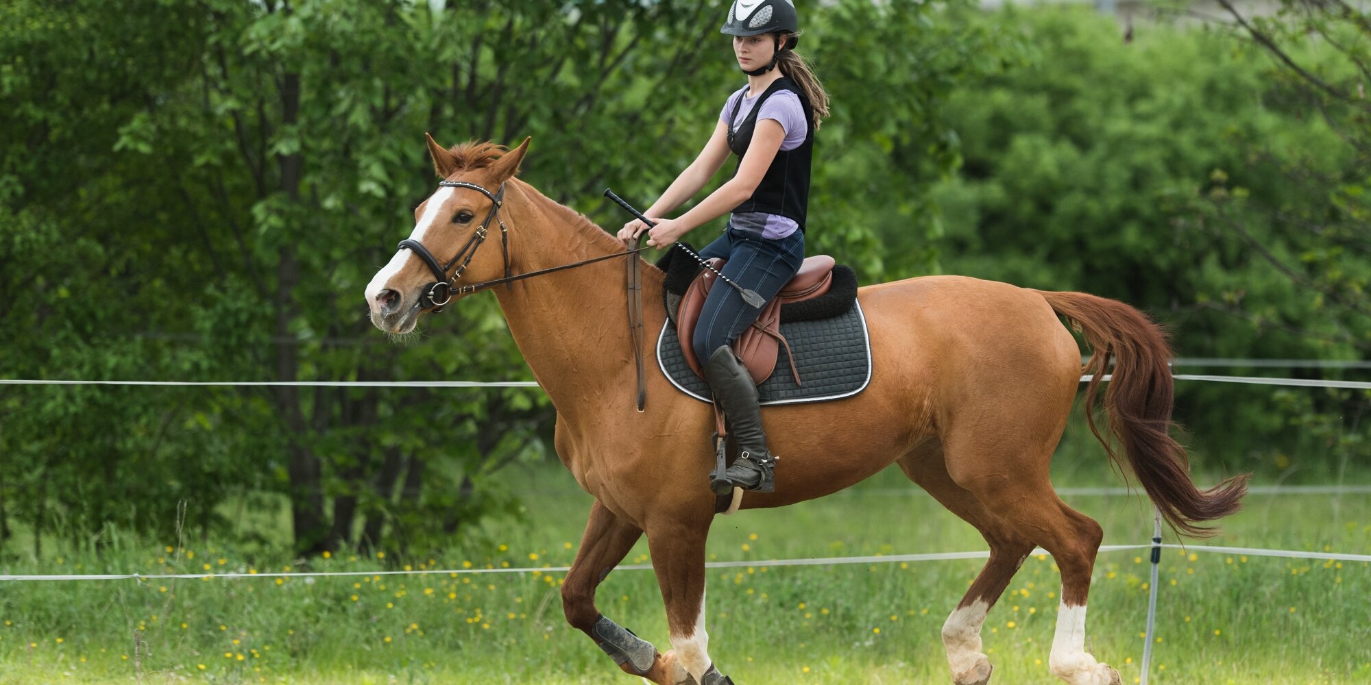 Cute girl riding. Ехать на лошади. Фото будто едешь на лошади.