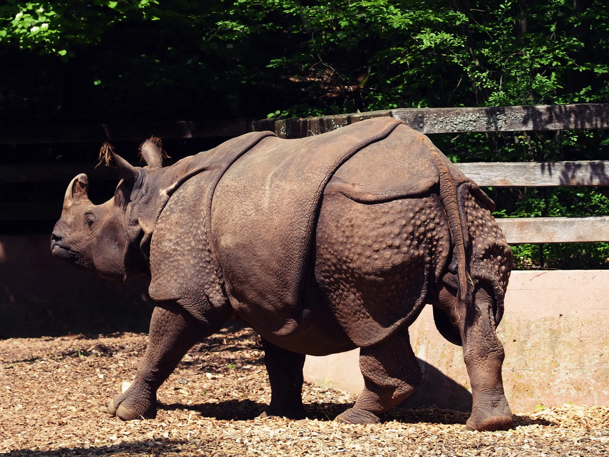 Super výlet pro rodiny s dětmi: zoo a delfinárium v Norimberku, možnost prohlídky města