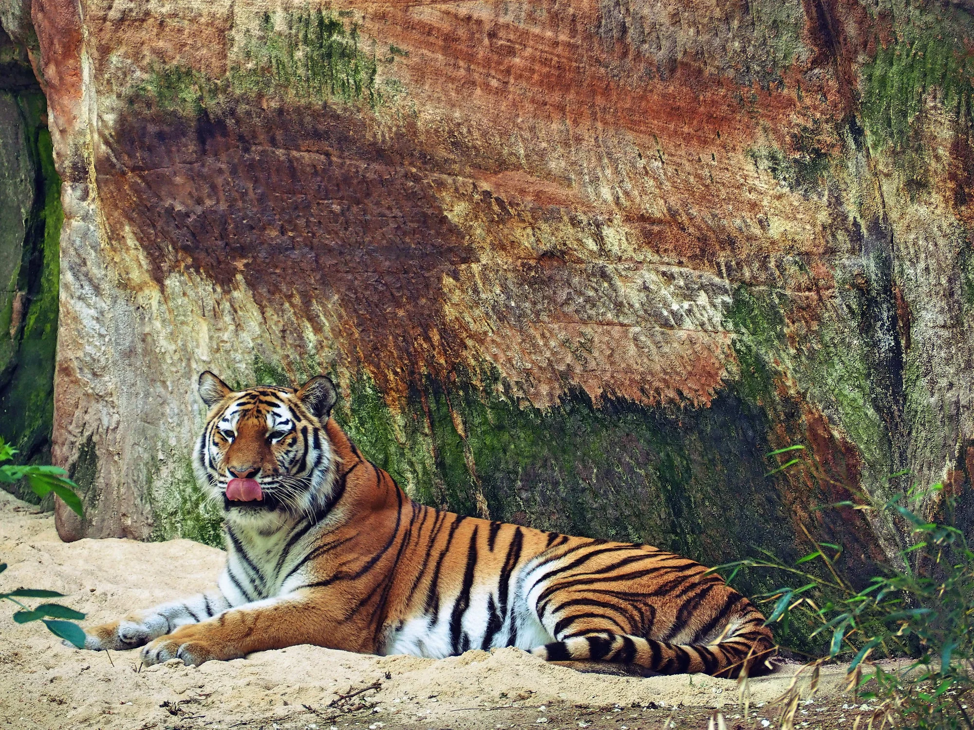 Super výlet pro rodiny s dětmi: zoo a delfinárium v Norimberku, možnost prohlídky města