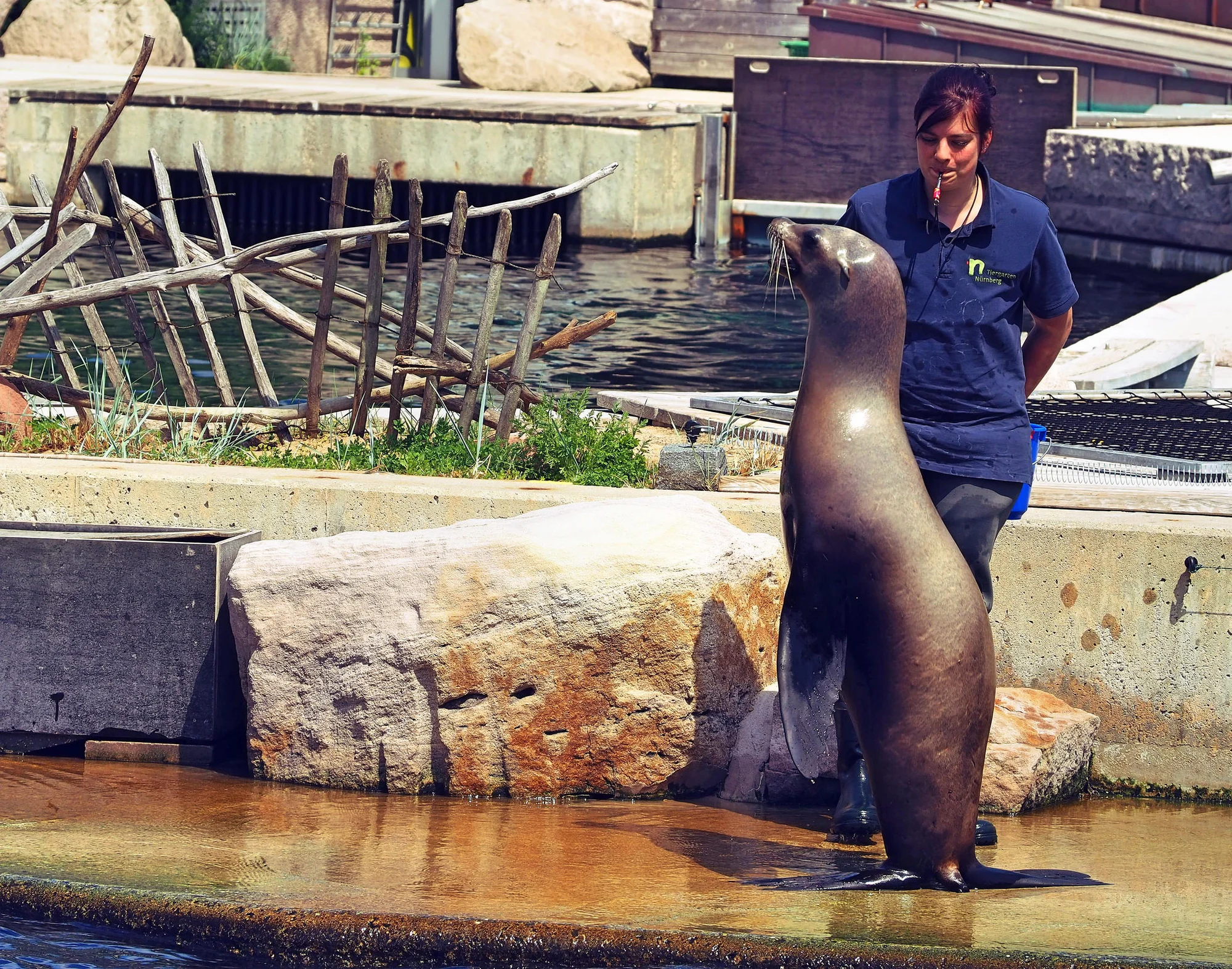 Super výlet pro rodiny s dětmi: zoo a delfinárium v Norimberku, možnost prohlídky města