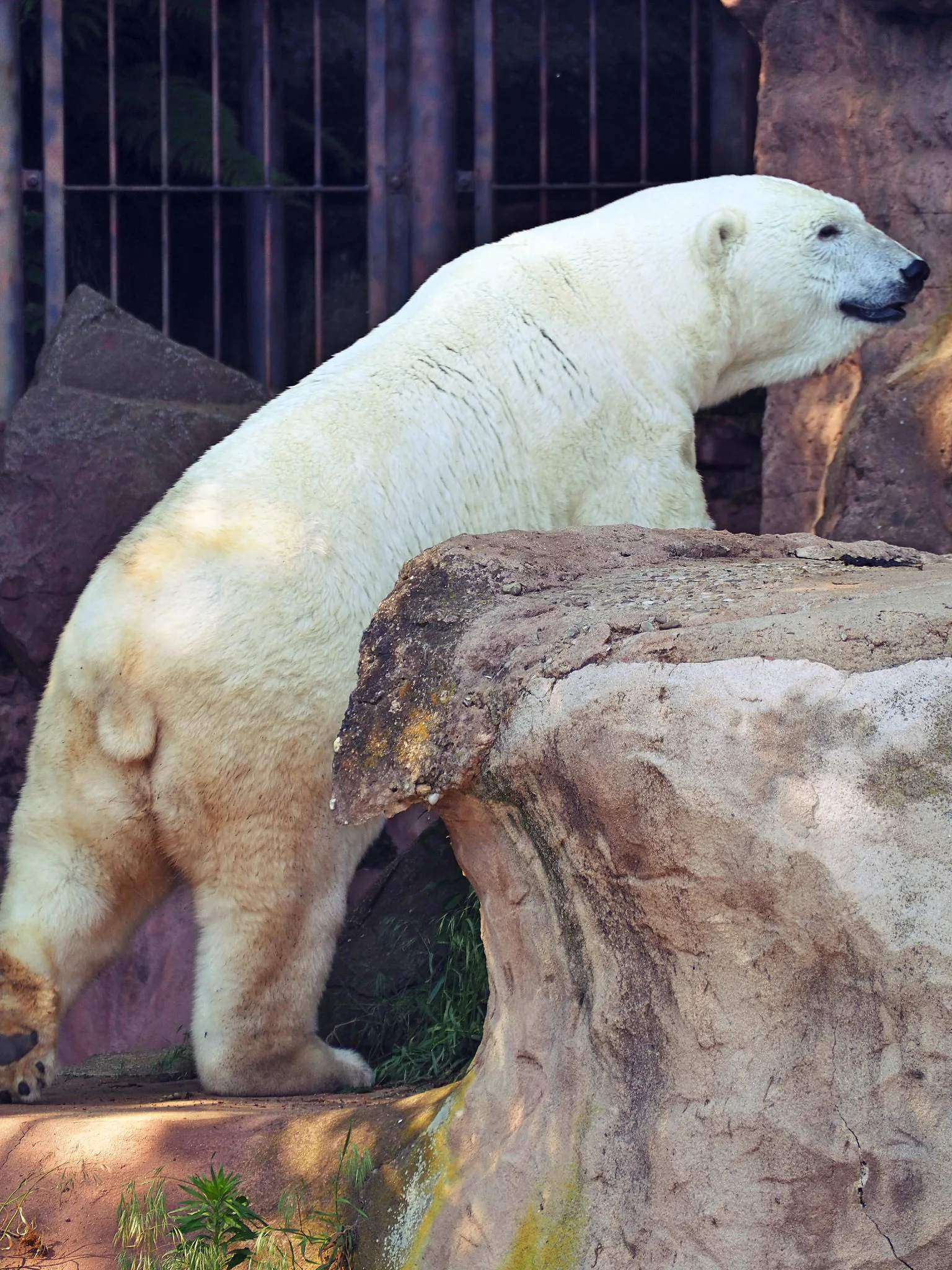 Super výlet pro rodiny s dětmi: zoo a delfinárium v Norimberku, možnost prohlídky města