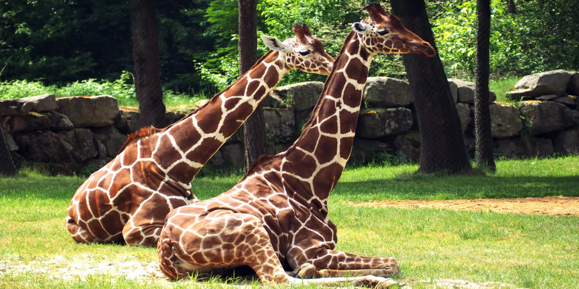 Super výlet pro rodiny s dětmi: zoo a delfinárium v Norimberku, možnost prohlídky města