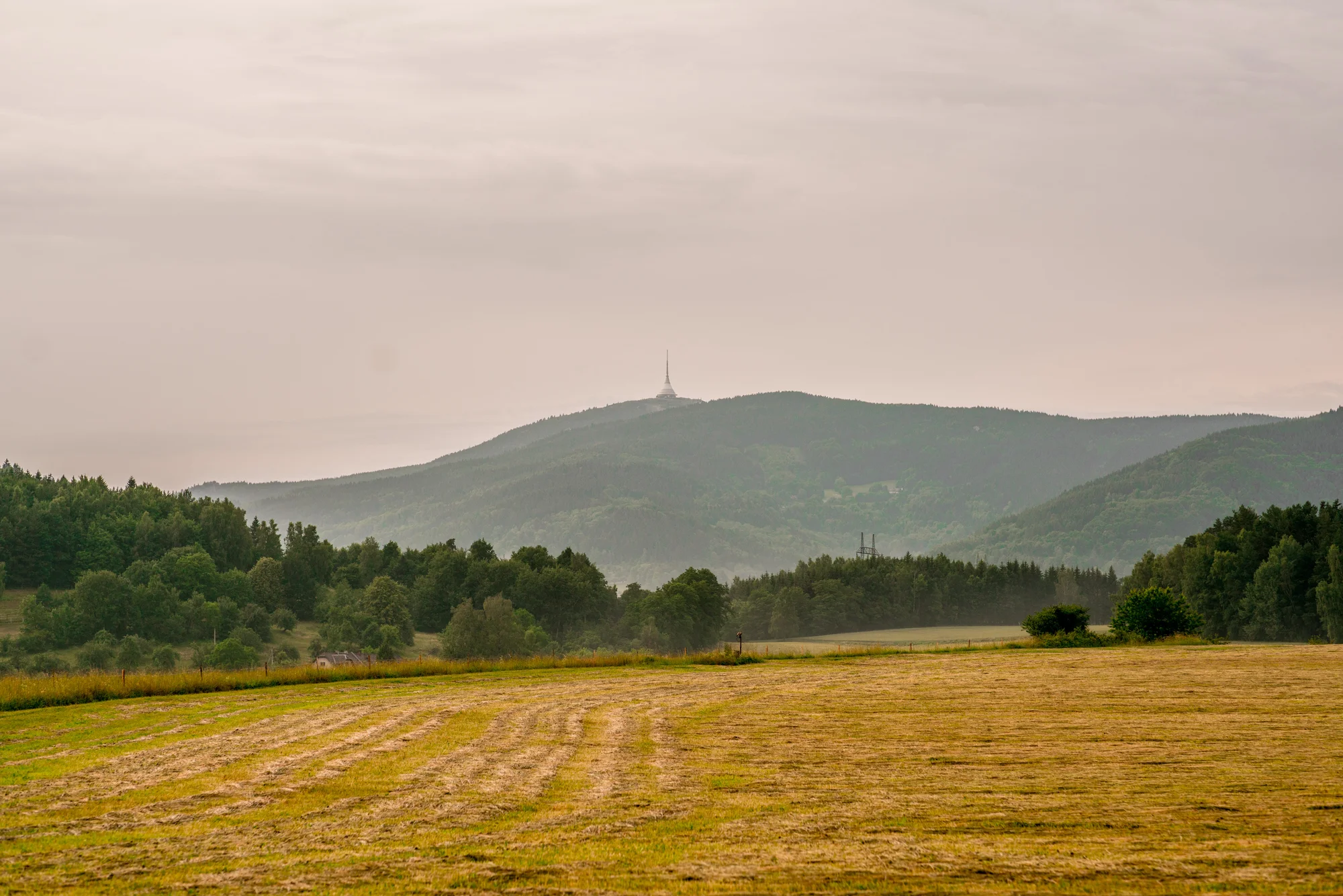 Romantika i dobrodružství: domek v korunách stromů a snídaně, 4 km od Ještědu