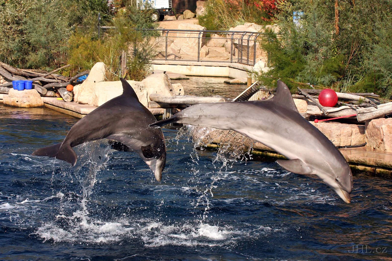 Super výlet pro rodiny s dětmi: zoo a delfinárium v Norimberku, možnost prohlídky města