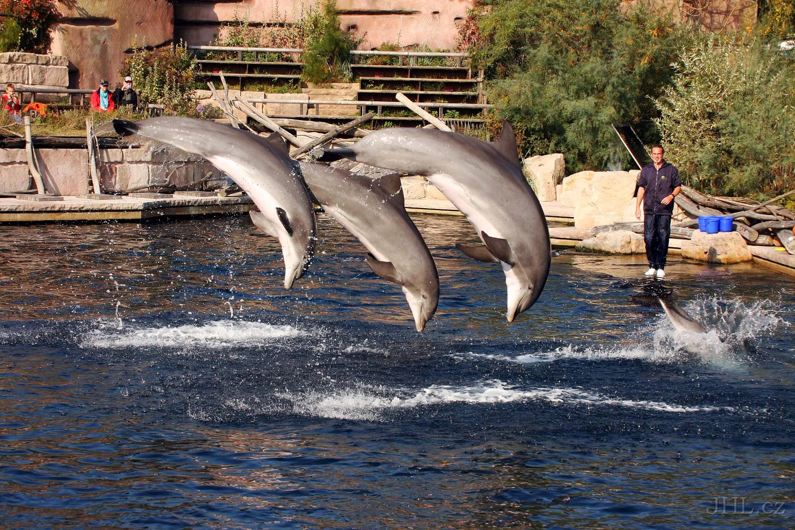 Super výlet pro rodiny s dětmi: zoo a delfinárium v Norimberku, možnost prohlídky města