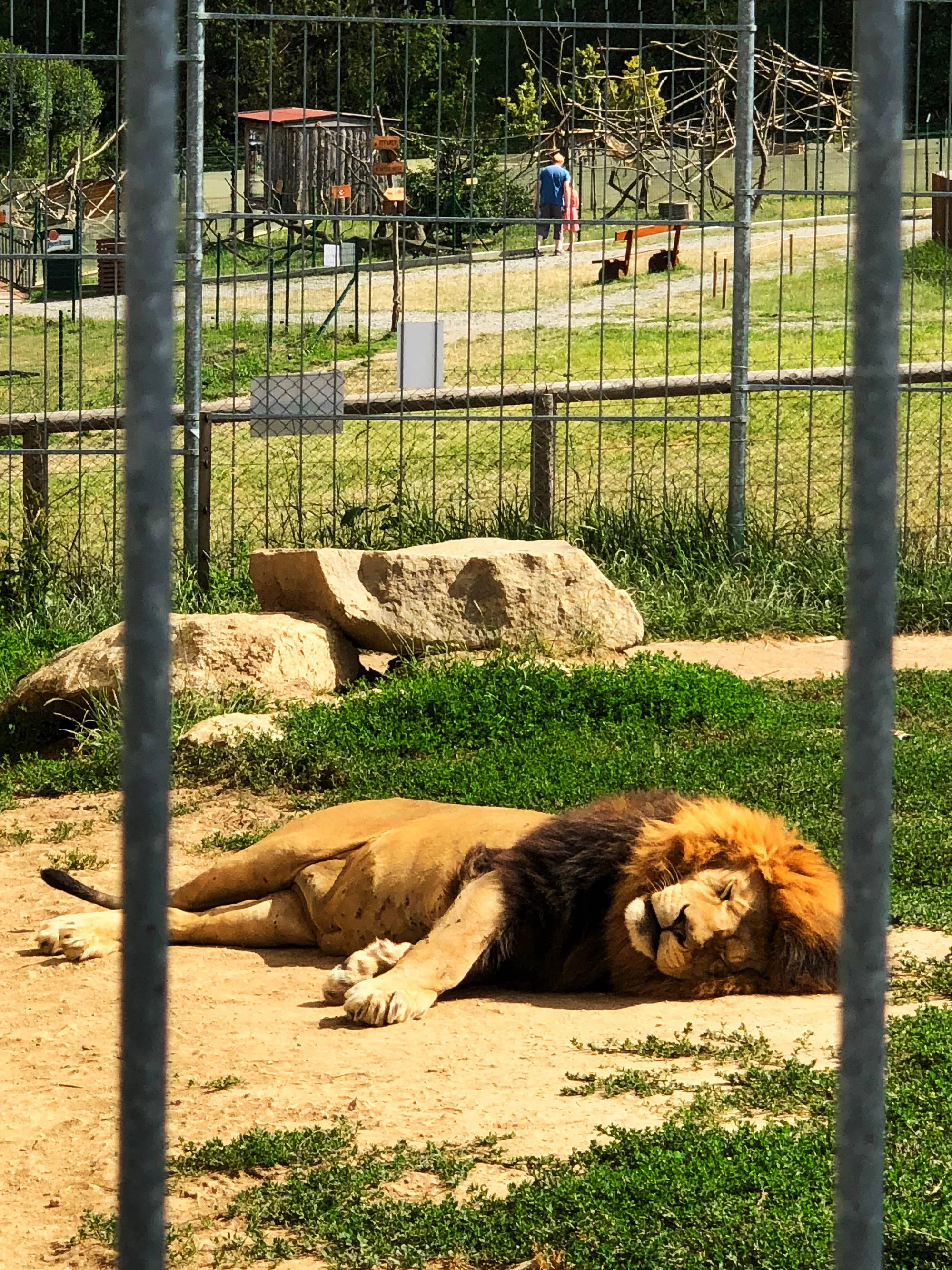 Zvířátka od ar po zubry: vstupné do zoologické zahrady v Táboře