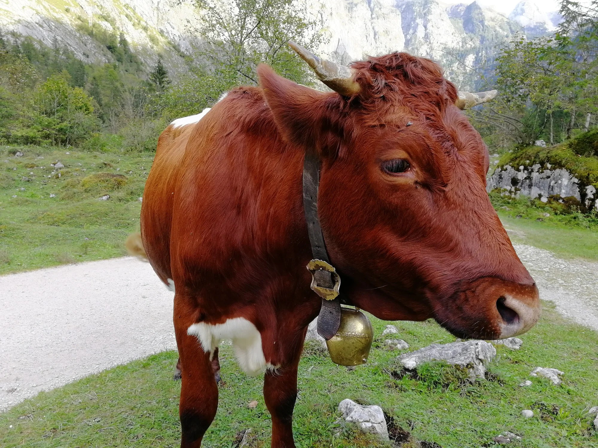 Jednodenní výlet do německých Alp na Orlí hnízdo a k jezeru Königssee
