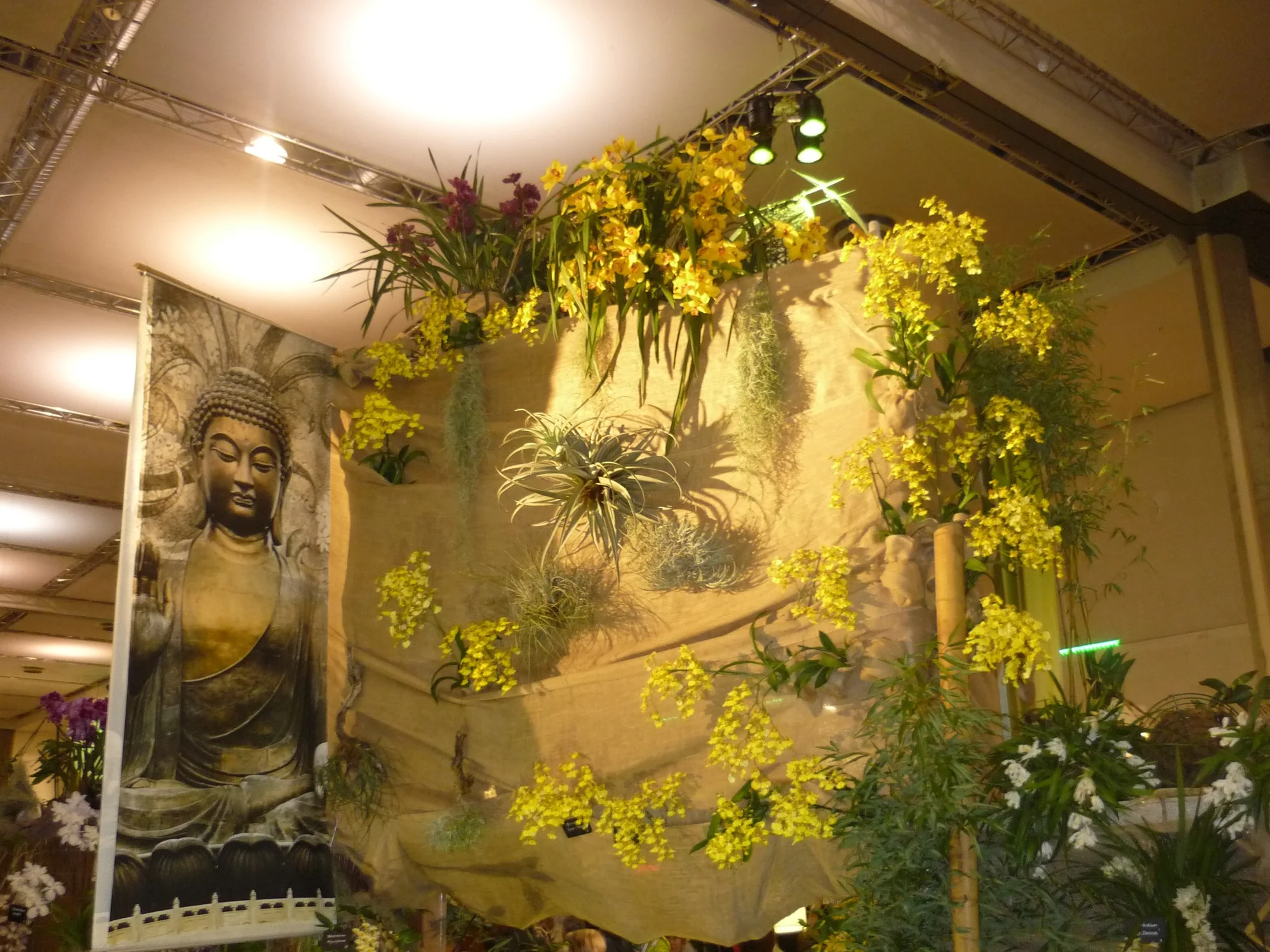 Výlet na prodejní výstavu orchidejí Orchideen Welt a prohlídka Drážďan