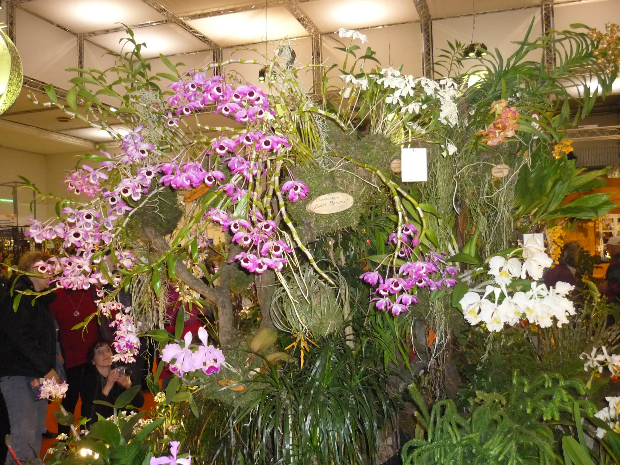 Výlet na prodejní výstavu orchidejí Orchideen Welt a prohlídka Drážďan