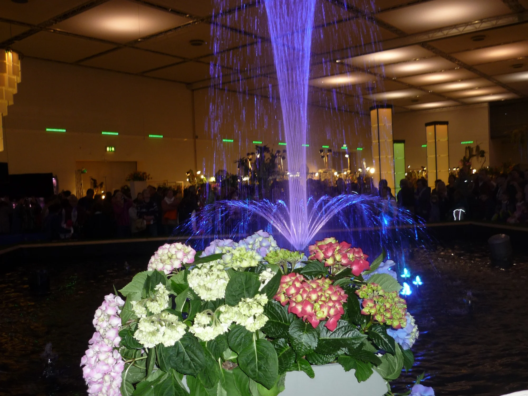 Výlet na prodejní výstavu orchidejí Orchideen Welt a prohlídka Drážďan