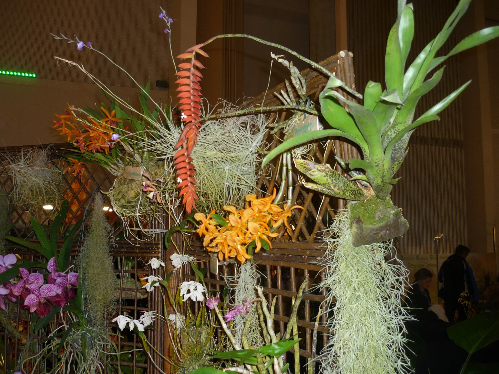 Výlet na prodejní výstavu orchidejí Orchideen Welt a prohlídka Drážďan