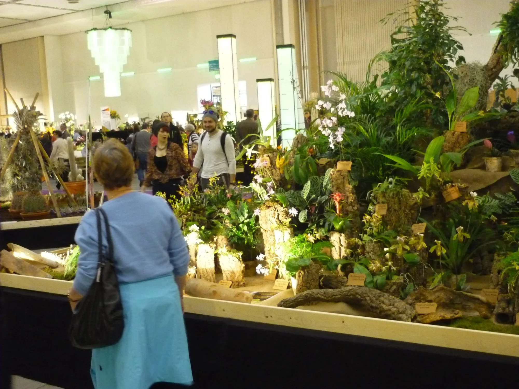 Výlet na prodejní výstavu orchidejí Orchideen Welt a prohlídka Drážďan