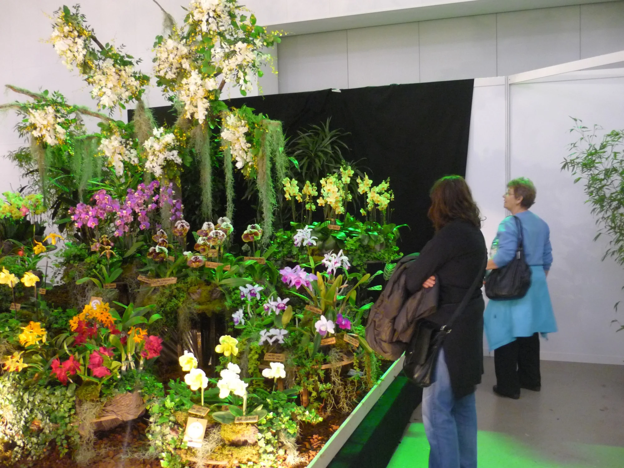 Výlet na prodejní výstavu orchidejí Orchideen Welt a prohlídka Drážďan