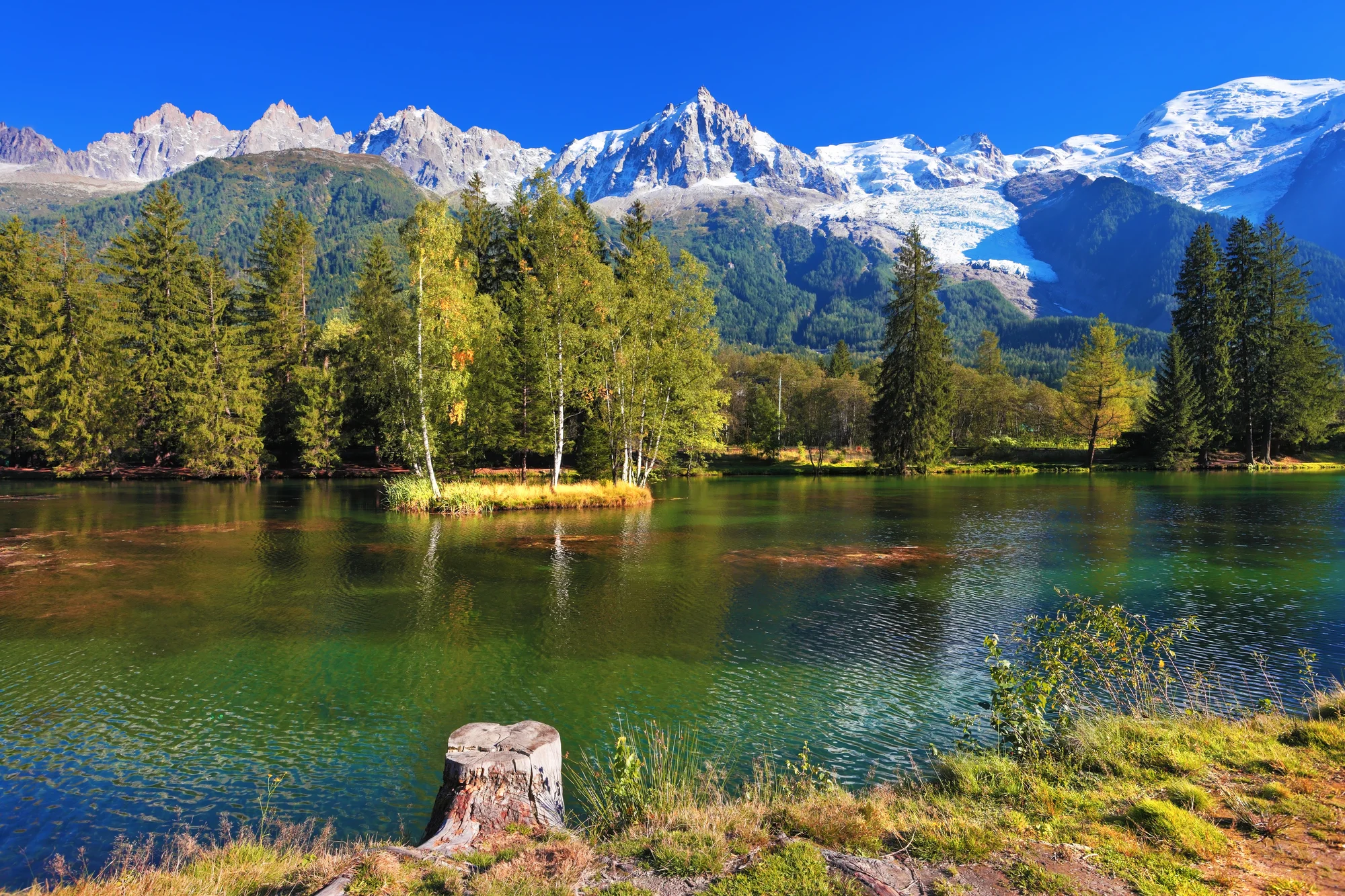 Výlet do horského střediska Chamonix, k hoře Mont Blanc a do Ženevy
