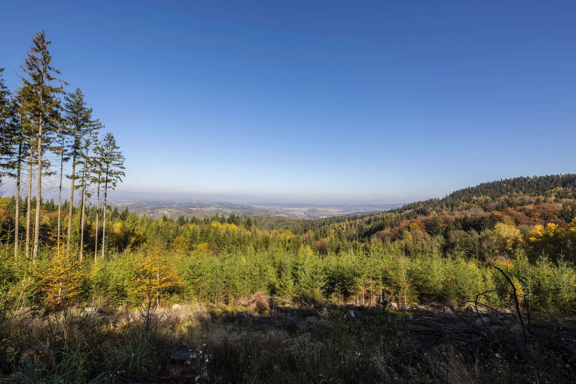 Ráj všech výletníků: penzion u Náchoda s polopenzí a venkovním bazénem